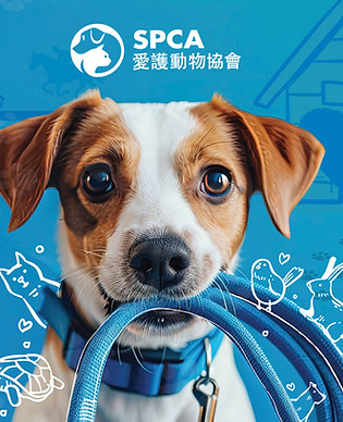 Shopify-agency,Shopify-partner,Shopify-expert,Shopify-Development,Shopify-plus,Eshop,Hong-Kong,HK,網店,Wechat,XHS,miniprogram,微信小程序,小紅書,Google,Facebook,IG,廣告